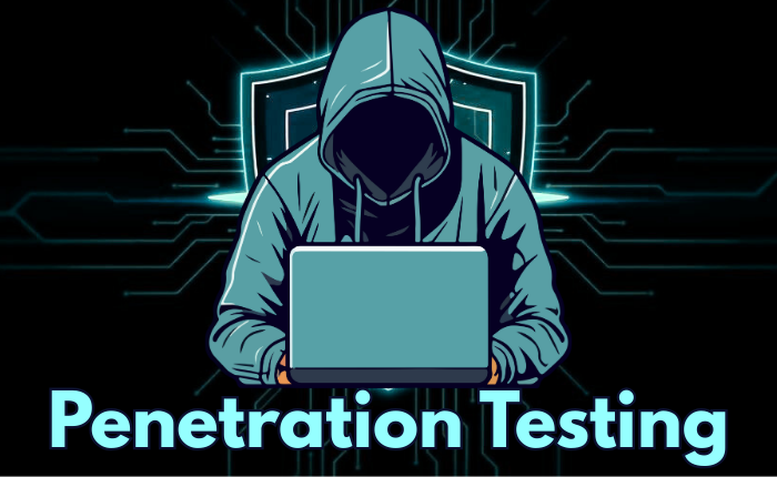 Penetration Testing